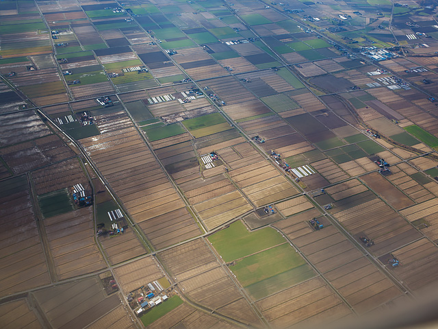 b0085526_1540480.jpg
