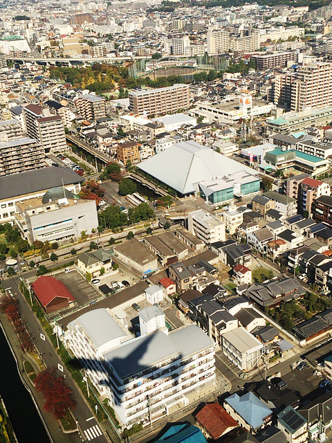 b0085526_15471279.jpg
