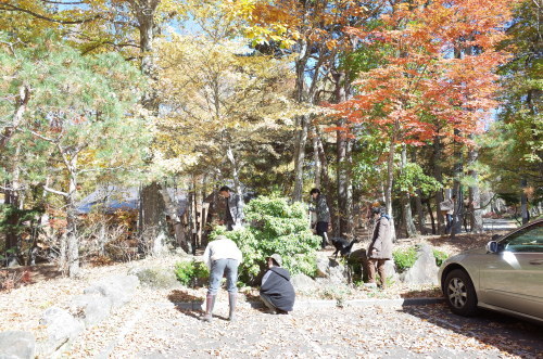 f0009031_11182304.jpg