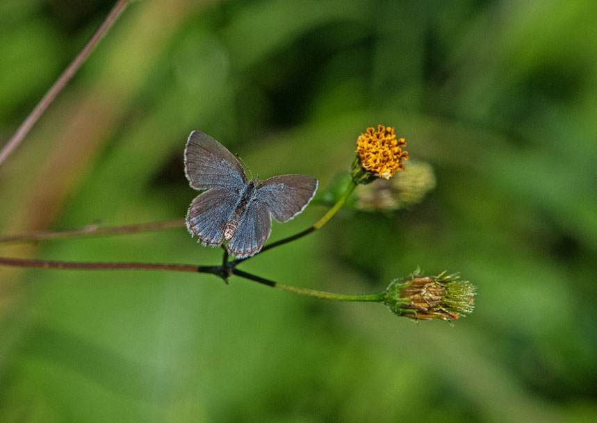 a0126632_83547.jpg