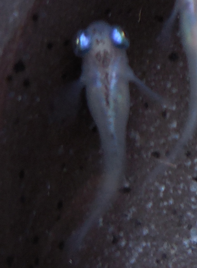 e0097534_18334818.jpg