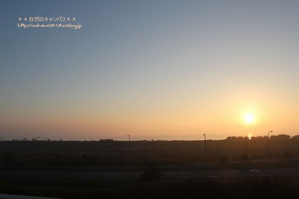 e0052135_1727322.jpg