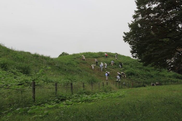 e0227139_059358.jpg