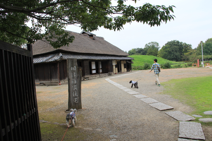 e0227139_141244.jpg