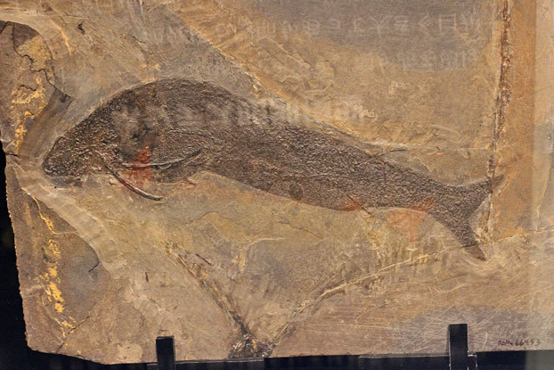 e0294253_11481372.jpg