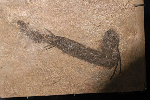 e0294253_11540090.jpg