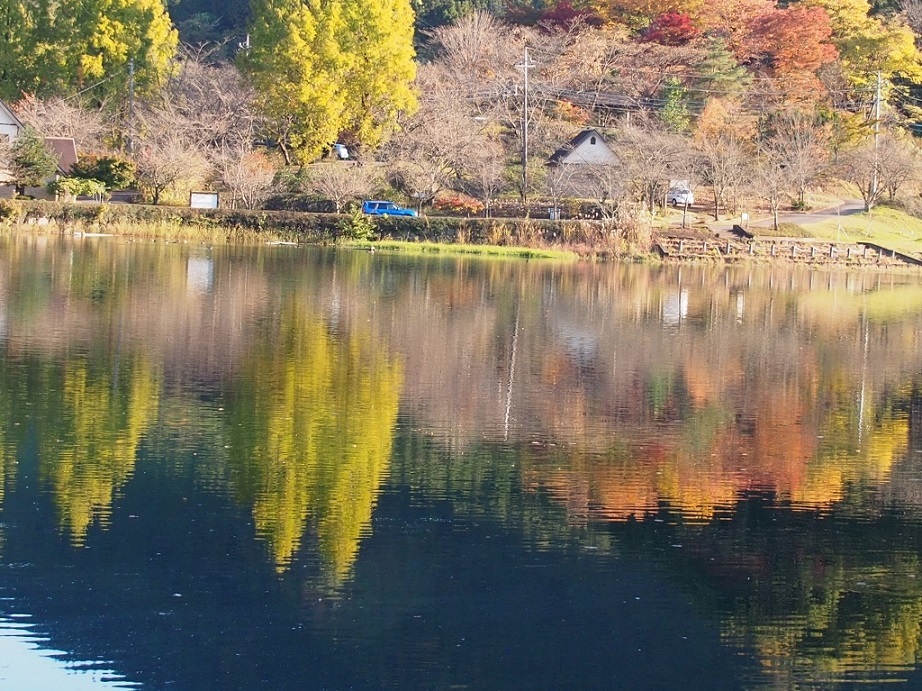 b0335256_11370921.jpg