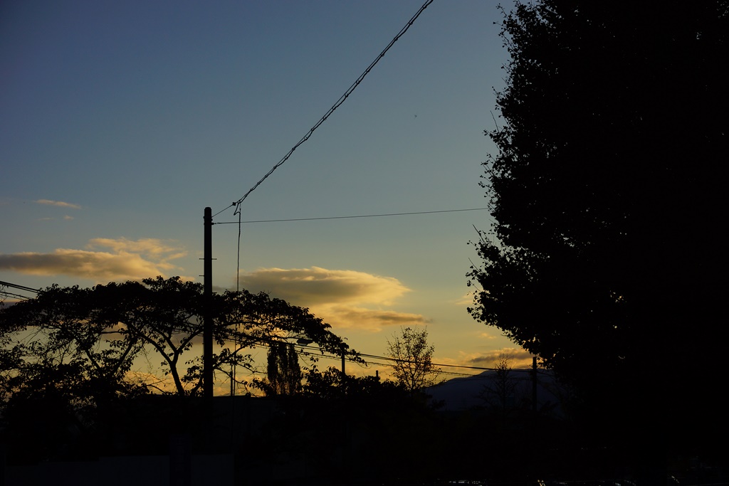 e0223456_8573198.jpg