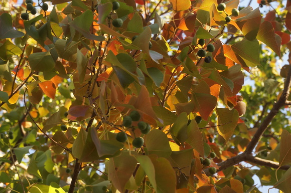 f0257756_025135.jpg