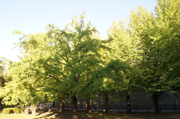 f0257756_052334.jpg