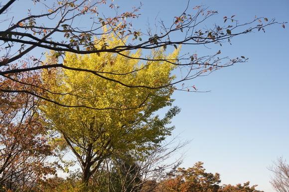 f0257756_055731.jpg