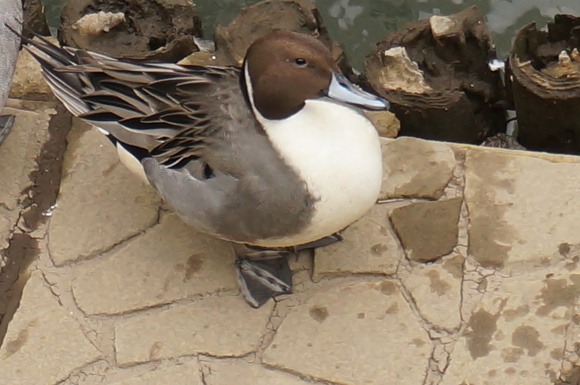 f0257756_075697.jpg