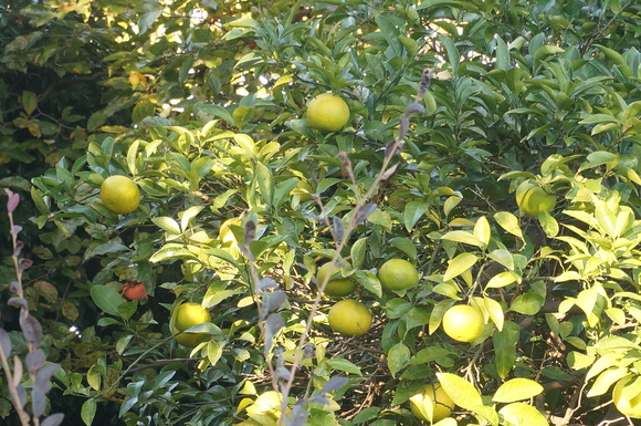 f0257756_08169.jpg