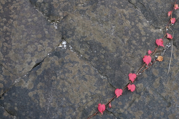 f0257756_082779.jpg
