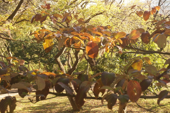 f0257756_23412550.jpg