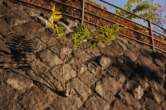 f0257756_23415197.jpg