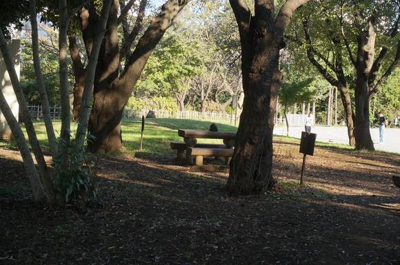 f0257756_23415611.jpg
