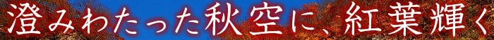 c0119160_20352145.jpg