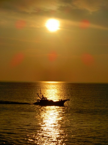 e0045768_2244052.jpg