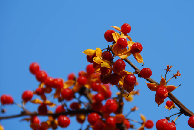 c0094572_731891.jpg