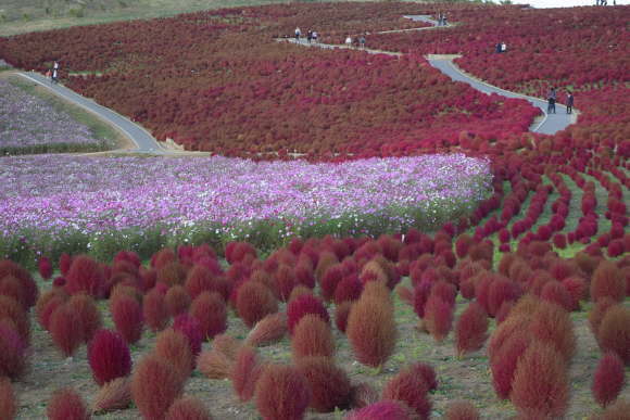 b0242873_00440989.jpg