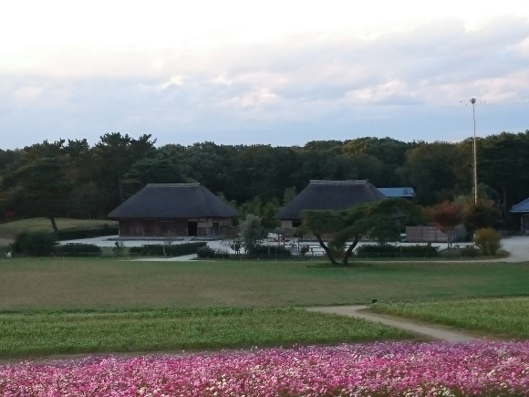 b0242873_00552439.jpg