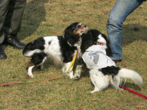 f0047773_11312434.jpg