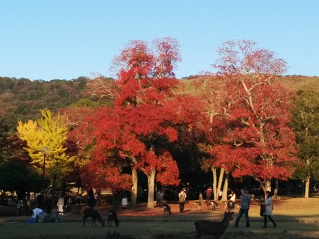 b0128589_17482683.jpg