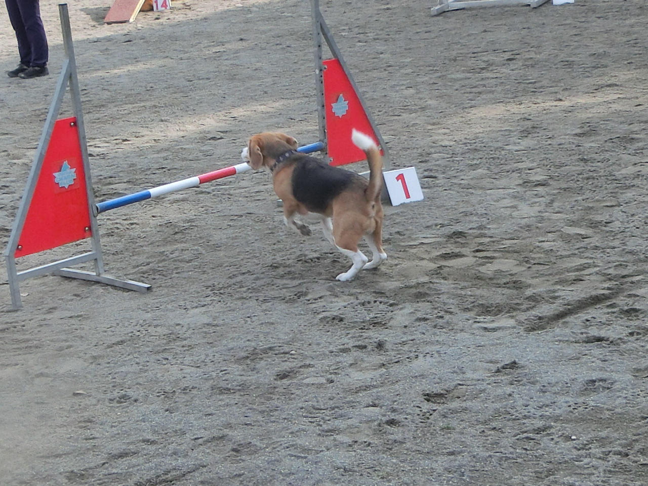 a0319693_10321521.jpg