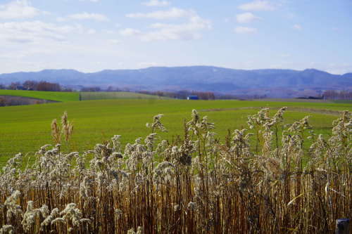 c0352894_11344106.jpg