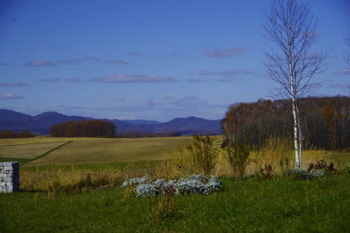 c0352894_11381587.jpg