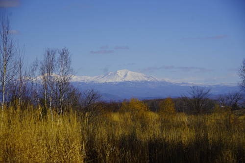 c0352894_11402223.jpg
