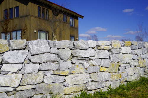 c0352894_11485762.jpg