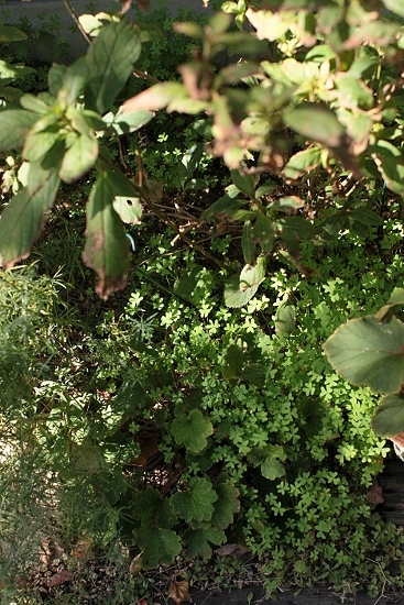 e0209997_22344948.jpg