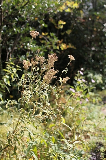 e0209997_2236035.jpg