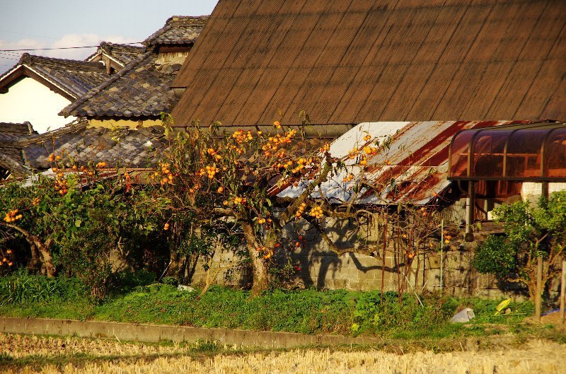 d0342307_23142774.jpg