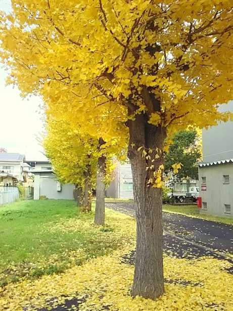 e0347508_1721429.jpg