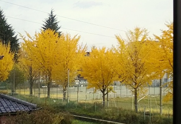 e0347508_17215410.jpg