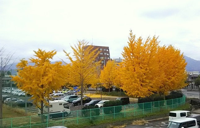e0347508_1722144.jpg
