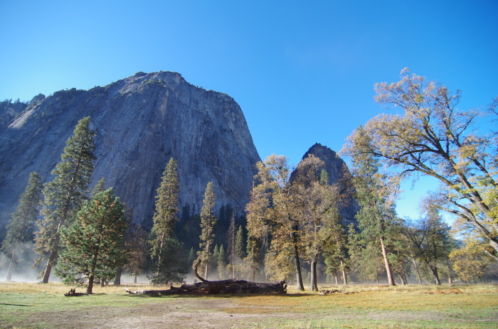f0195813_20532698.jpg