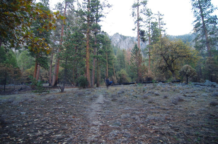 f0195813_21283308.jpg