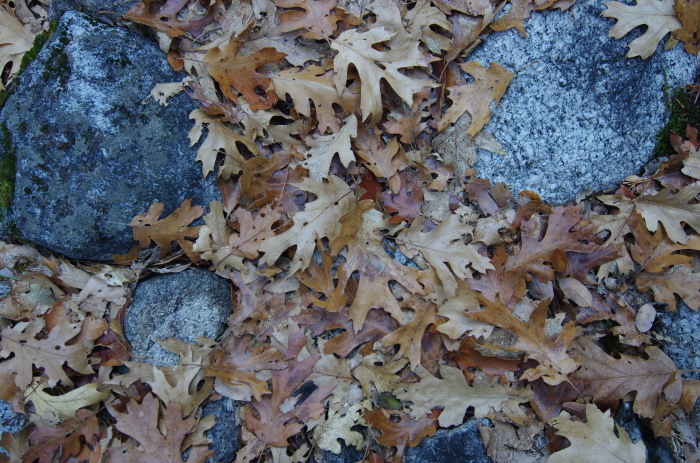 f0195813_21285488.jpg