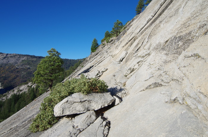 f0195813_21475782.jpg