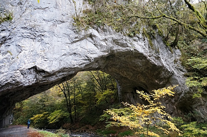 b0068423_15324135.jpg