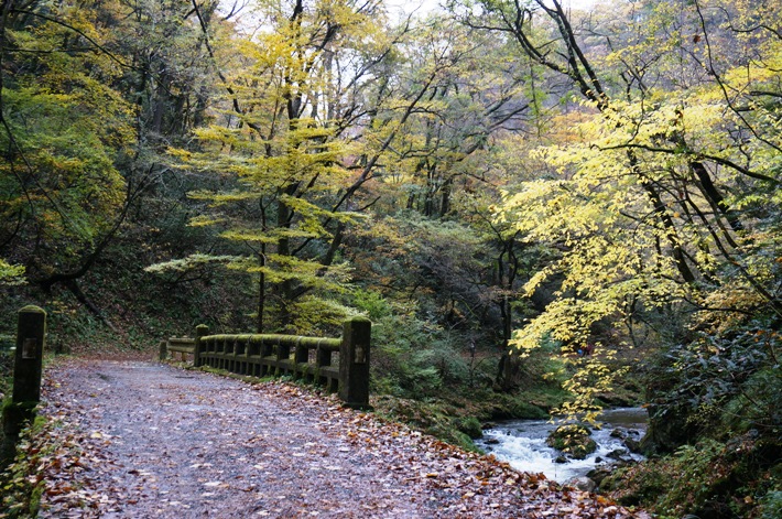 b0068423_1617694.jpg