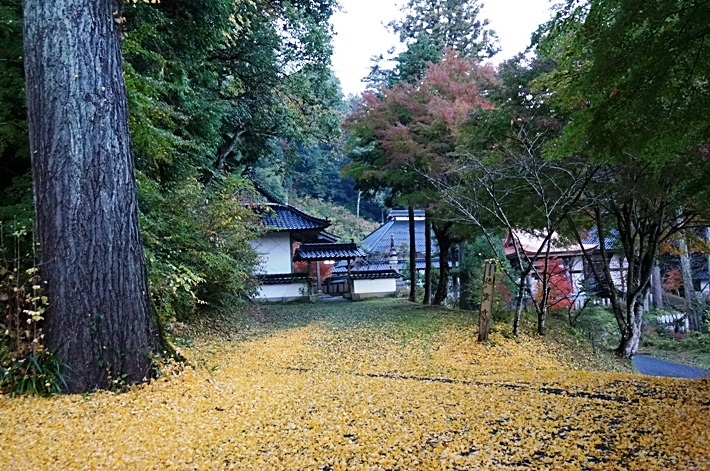 b0068423_17494495.jpg