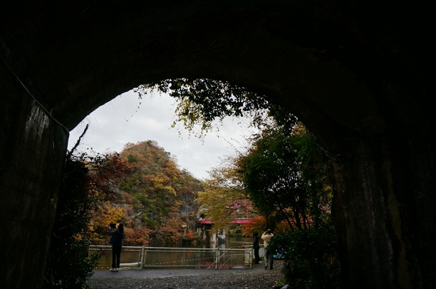 b0068423_1783871.jpg