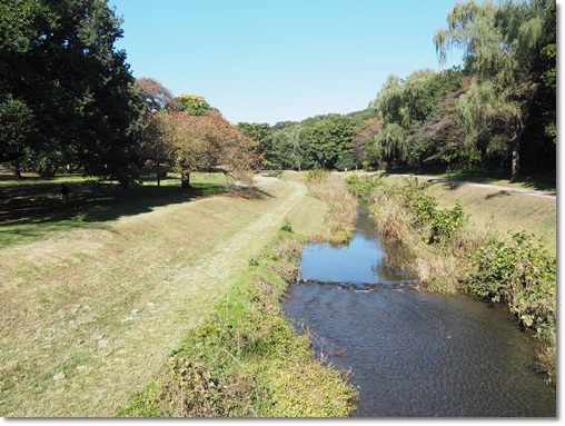 c0284923_917421.jpg