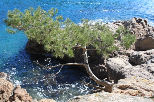 a0252324_06474304.jpg