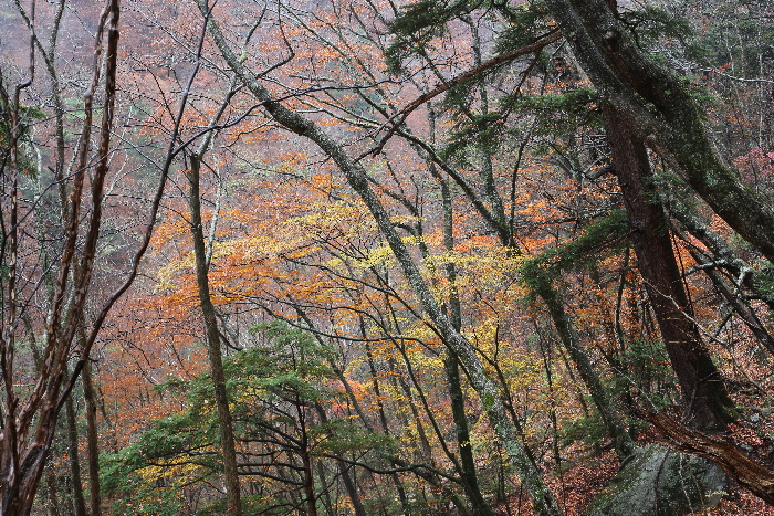f0103126_2182879.jpg